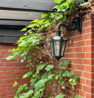 Wall Lantern ⎮ Art.-Nr.:3746