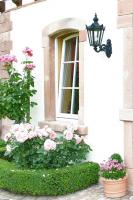 Wall Lantern ⎮ Art.-Nr.:7407 M5